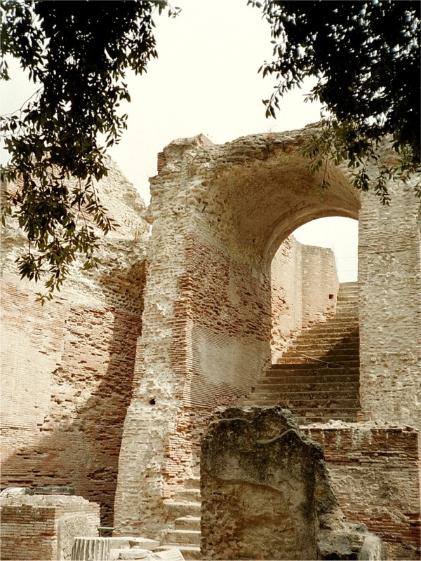 it pozz 43393_36.jpg